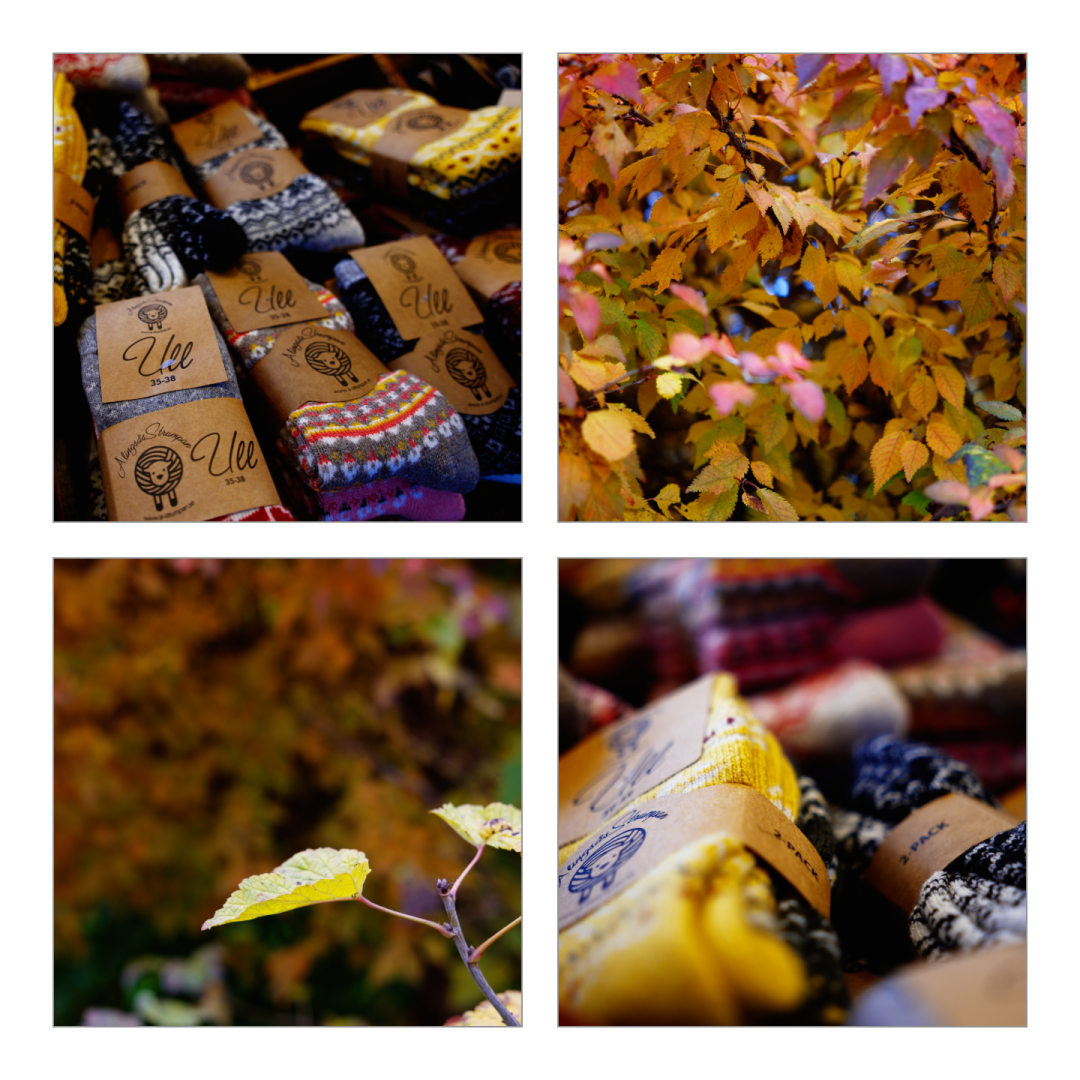 Höstmarknad. #autumn #colors #wool #leaves #sigma1740 #fujifilmxh1 #aphera