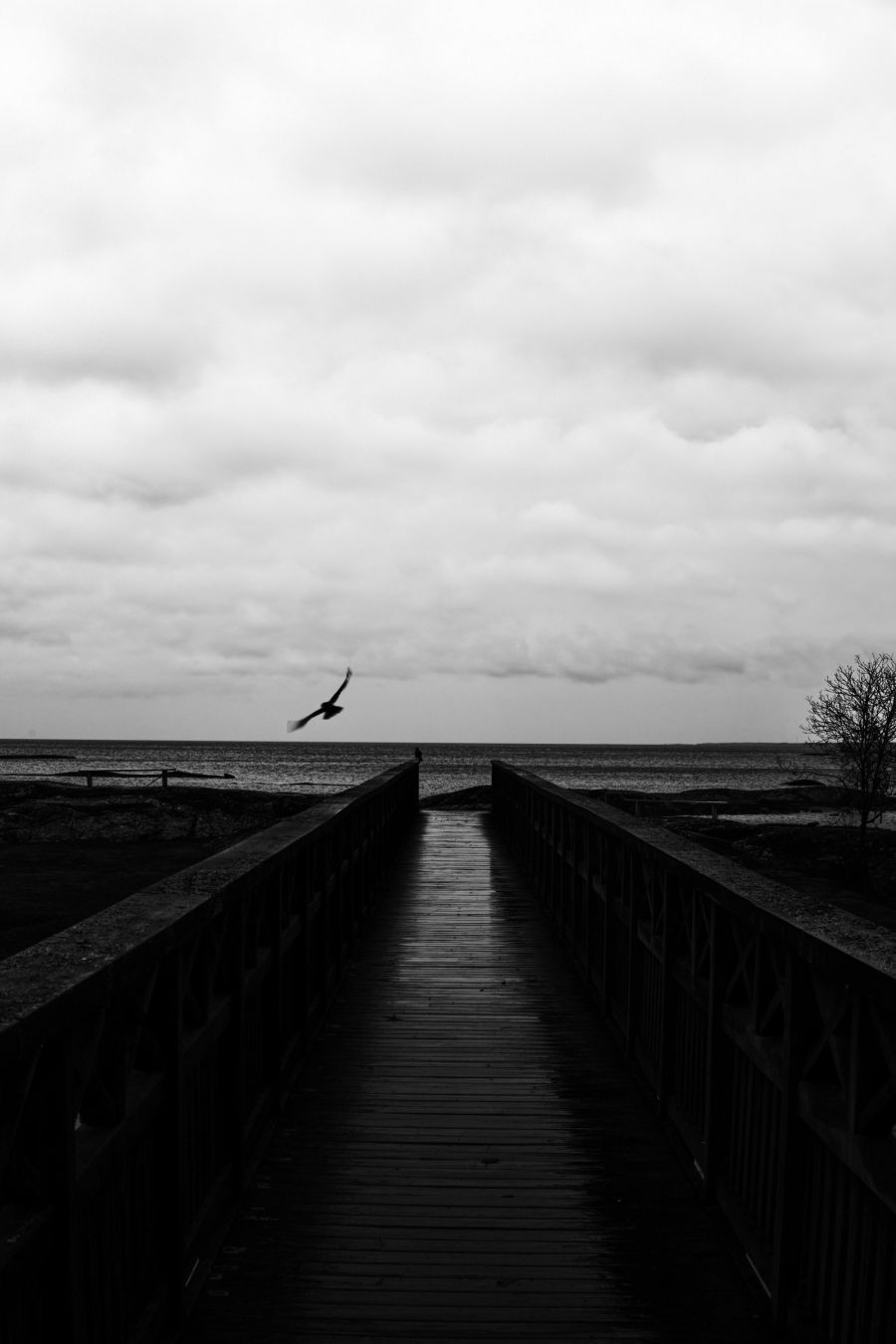#fujifilm #voigtlander #blackandwhite #horizon #moody-nature