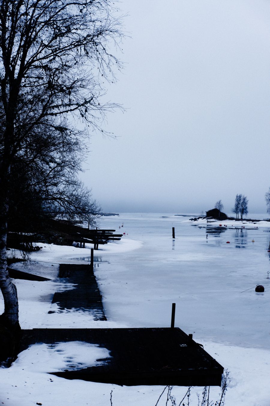 #Spring, meet #Winter. #Winter, this is #Spring. #Fujifilm #X-H1 #DxOPhotoLab #Sweden